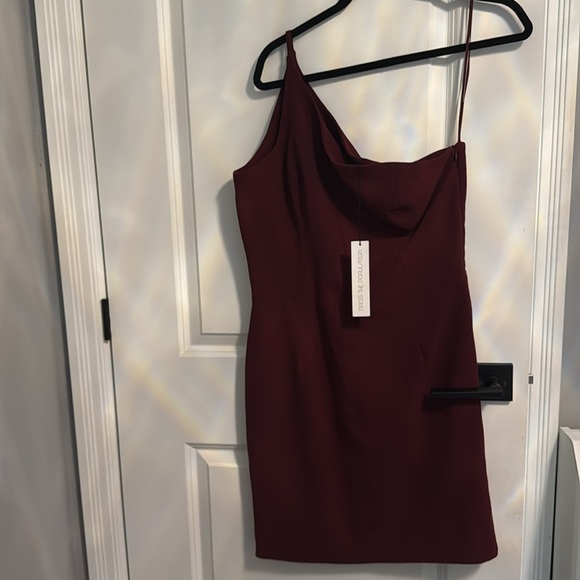 Dress the Population Bodycon Burgandy Dress SZ XL - Picture 5 of 6